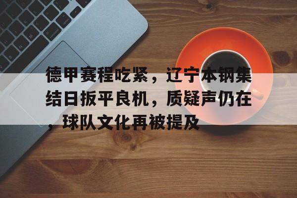 Leyu-德甲赛程吃紧，辽宁本钢集结日扳平良机，质疑声仍在，球队文化再被提及的简单介绍
